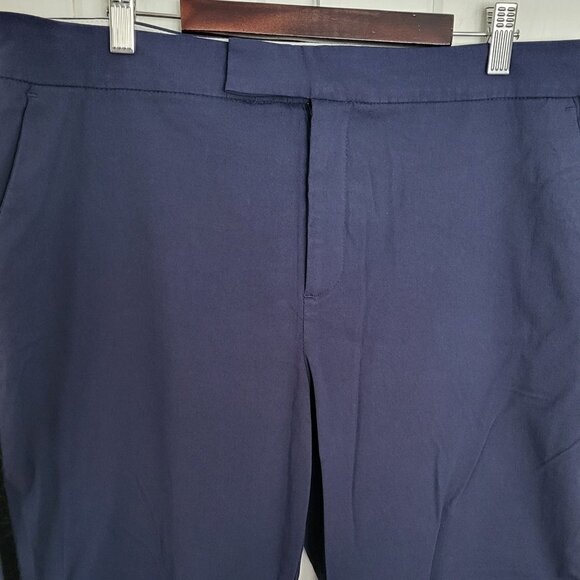 Lord & Taylor Velvet Stripe Crop Dress Pants Size 16 - Picture 5 of 11